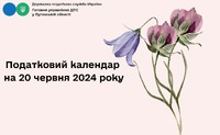Головне управління ДПС у Луганській області нагадує про терміни подання звітності та сплати податків і зборів у червні 2024 року